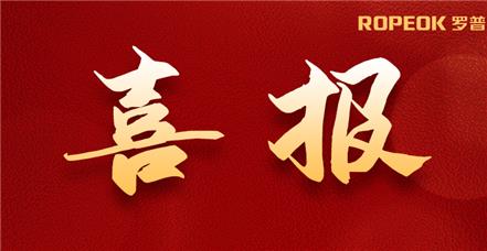 喜报 | 乐虎国际lehu集团再次通过CMMI5级认证